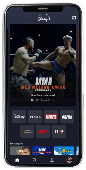 Passo 16 para ativar Disney+ no app da Desktop pelo celular
